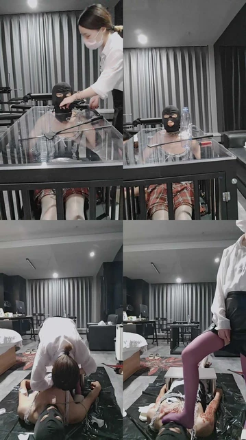 【陶拉大人】训练圈养狗