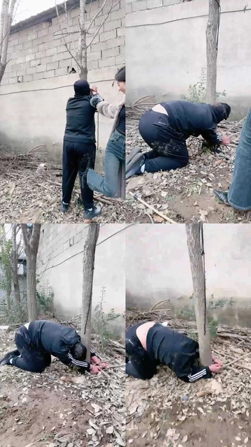 【沅芷】腹部痛击/到吐