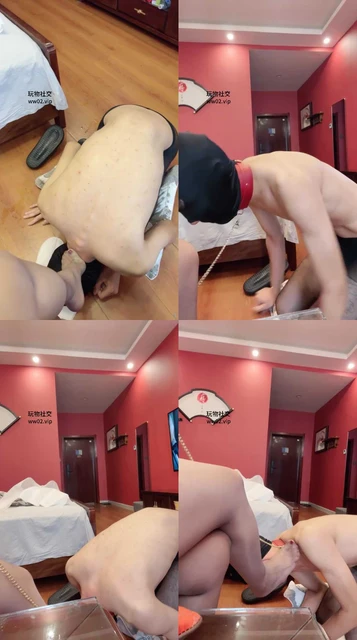 【橘子妈】骚狗丝袜美腿狂舔