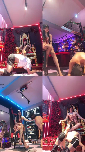 【伊晨s】暴虐傻逼脑残狗