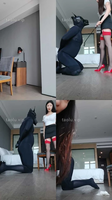 【梓晨】黑丝高跟御姐-鞭打/犬化/灌圣水/人体座椅
