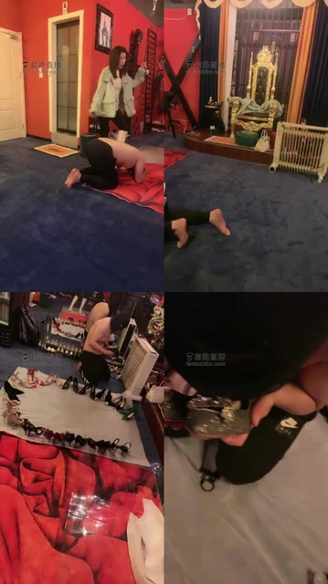 【晨晨】玩玩这个调皮捣蛋狗