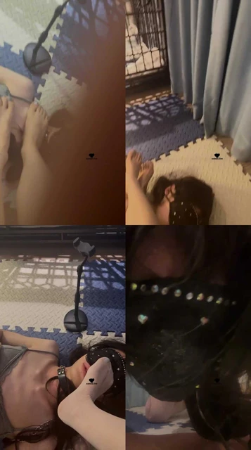 【喵酱紫】沉浸式踩脸/囚禁狗笼