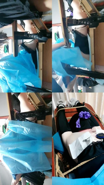 【东营天香百合】冰火两重天