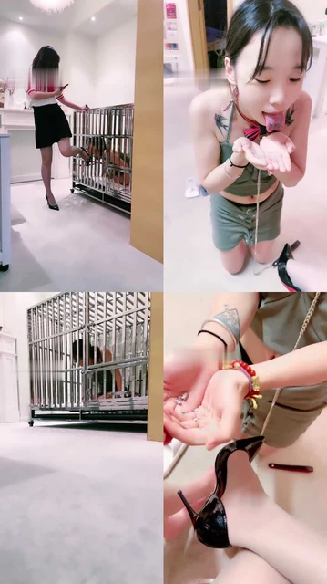 【茹雪】双主VS母畜-狗笼圈养/舔圣水/人体烟灰缸【双视角版】