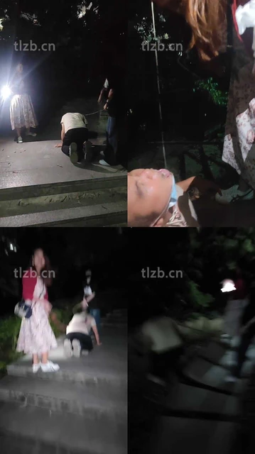 【暴力美学】双S-户外-鞭打/狗链遛狗/踩狗爪舔脏鞋/【双视角版】