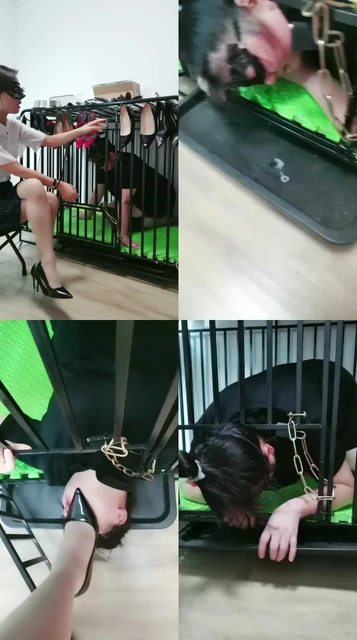 【凌儿女神】母畜-囚禁狗笼/高跟踩/鞋插嘴/喂圣水