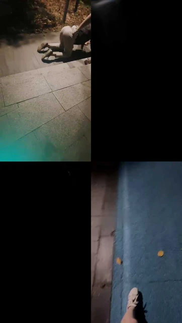 【悠悠大S】双S户外tj遛狗走起【双视角版】