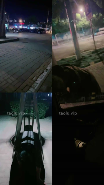 【鹿梦兮】户外让狗下跪舔鞋/转胯