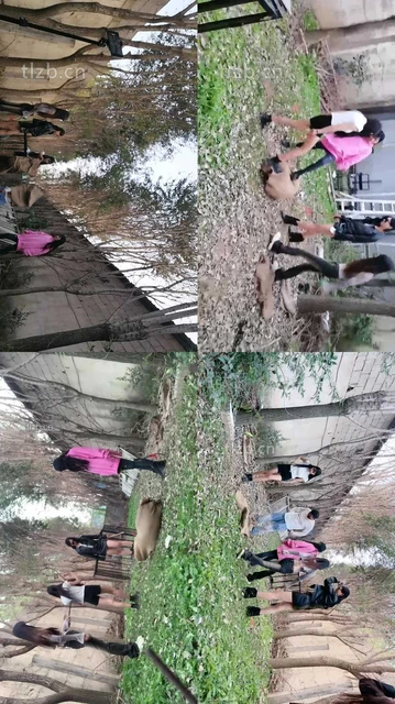 【沅芷】高能刑-清晨群调圈养奴-下【三视角版】