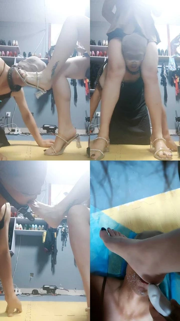 【东营天香百合】TJ废物狗