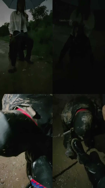 【语阳】下雨天和骑马更配哦