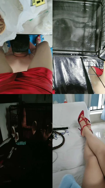 【丝宫主】狗伺候吃饭