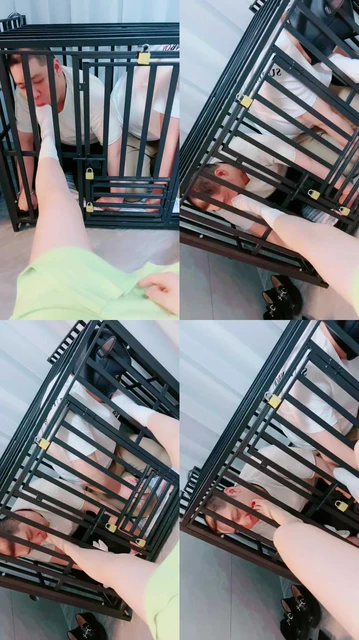 【芷镜小主】白袜虐-狗笼囚禁双奴