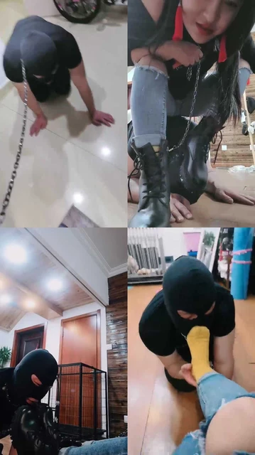 【西安欣】狗笼圈养喂食狗【双视角版】