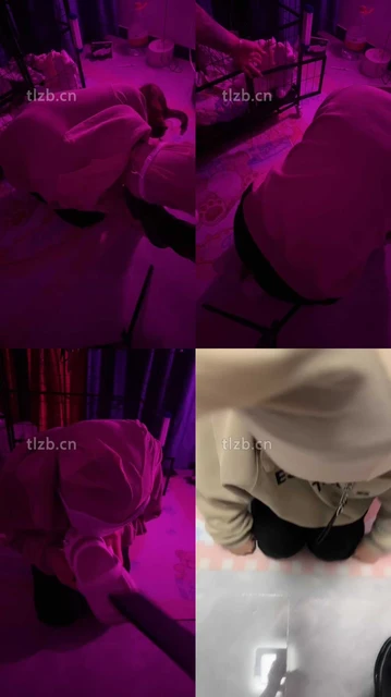 【璐璐大王】圈养M跪舔长靴踩踏/重度sp