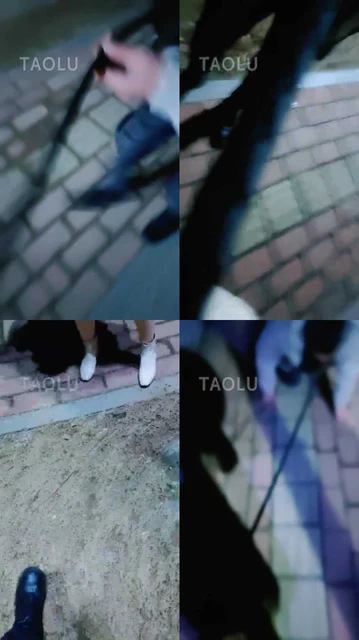 【魅影女神】饭后遛遛狗虐虐