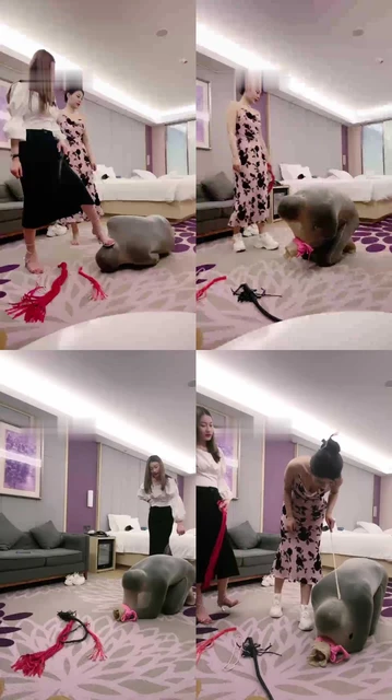 【宸宸】双S重刑-木乃伊全包囚禁-藤条鞭子狂抽【双视角版】