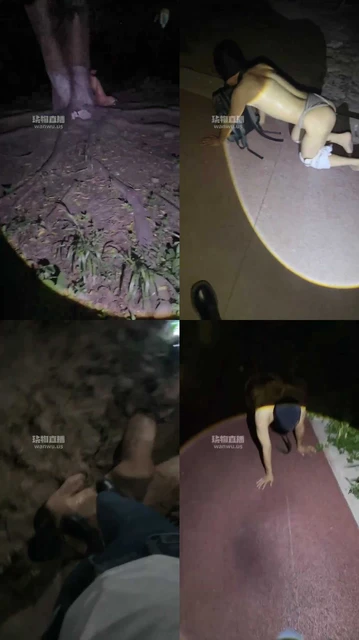 【重庆佳禾小妈】户外玩大龄贱狗