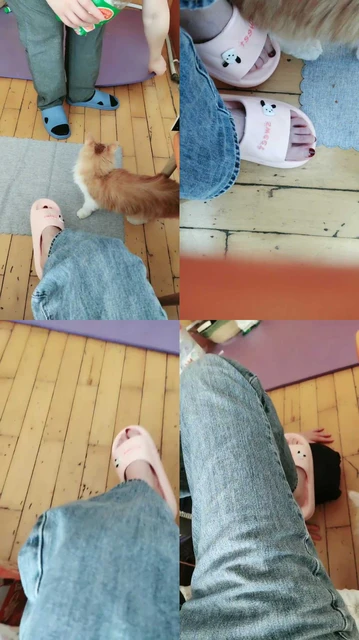 【桉】拖鞋踩狗脚下伺候