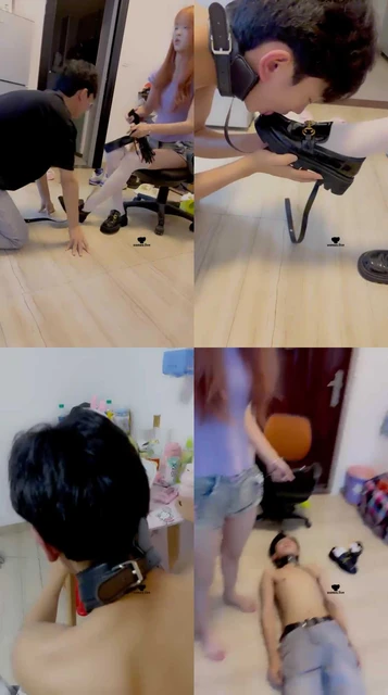 【沐沐】可爱学姐性感白丝-玩虐高中傻狗