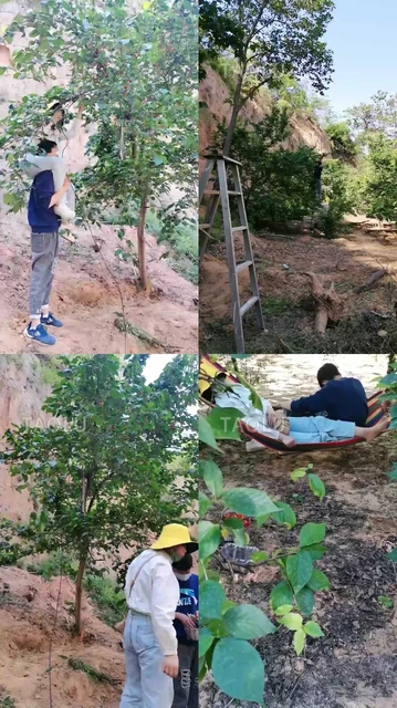 【君舞女王】野外让狗奴伺候【上】