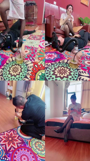 【承诺】惩罚不听话的狗