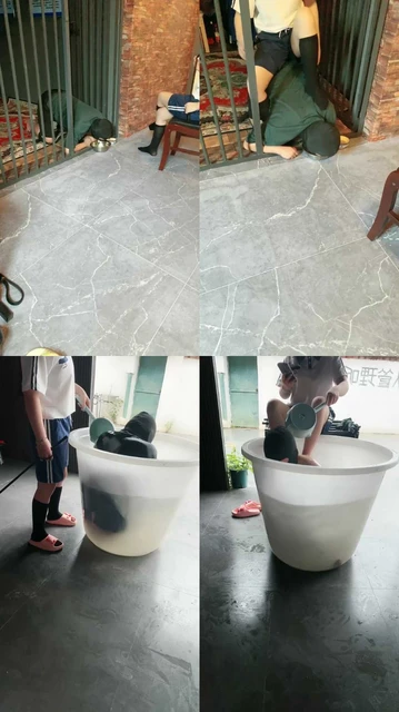 【芊芊】学生S-假期圈养犬化老师【双视角版】