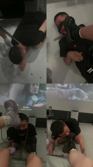 【文文文】双S-物化人体擦鞋器