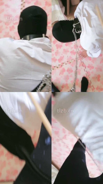 【蓝蜻蜓】藤条鞭打/骑马爬行