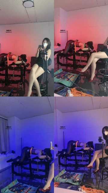 【翎遥大大】母畜-捆绑强制重度鞭打/滴蜡