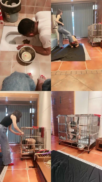 【绯闻王妃】铁笼圈养吃脏东西