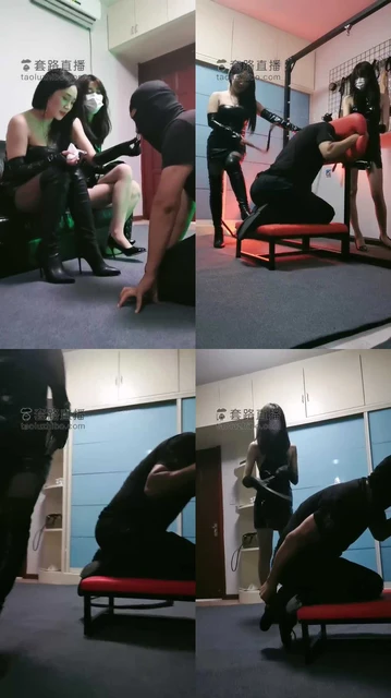 【傲雪】鞭策之刑虐