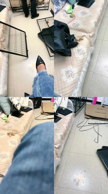 【佳佳】组装狗笼奖励粉鞋白袜踩踏