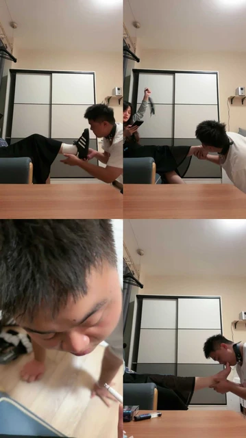 【子熙大人】品尝脏鞋白棉袜/鞋抽耳光/裸足深喉