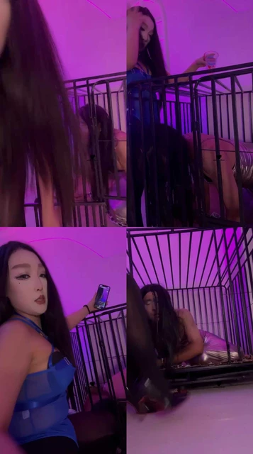 【AIU】狗笼囚禁犬化CD奴