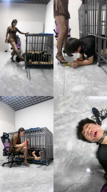 【喵主】绿帽前任被关狗笼虐