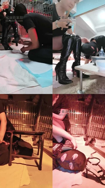 【乐爷】周末玩狗