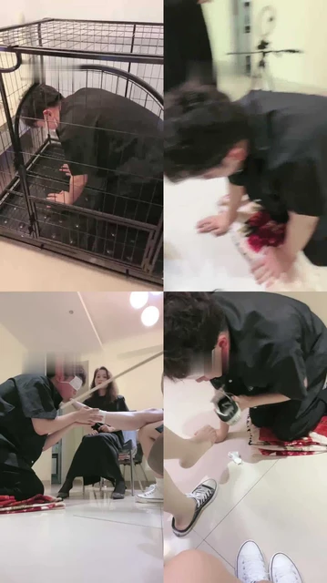 【陌初】多主群调圈养狗【四视角版】