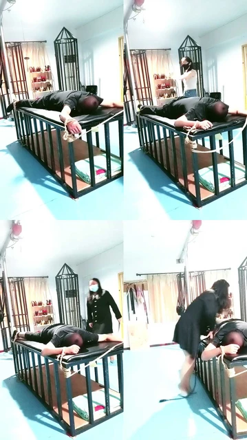 【青妍艾斯】双SP专场