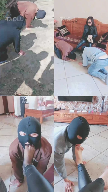 【羽诺】户外遛狗