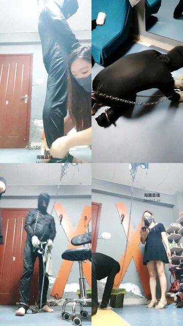 【东营天香百合】家奴干活