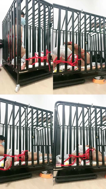 【薇薇】狗笼调狗