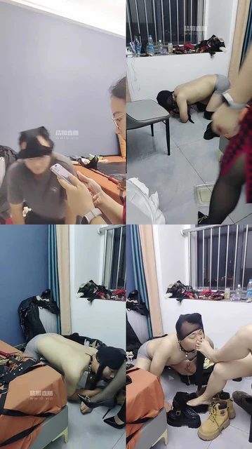 【无锡南荣S】调狗