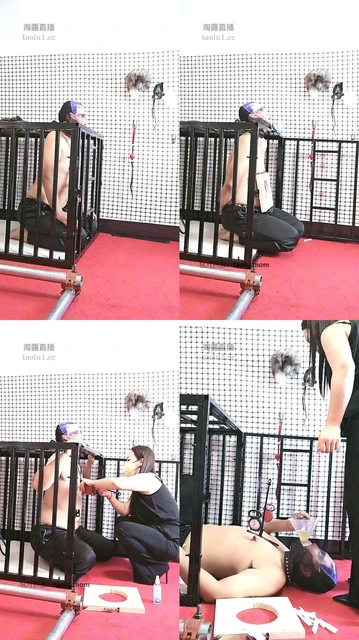 【沐颜s】钢签穿刺狗嘴钉乳头