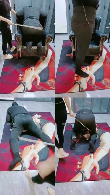 【芷镜小主】重度刑虐-藤条sp