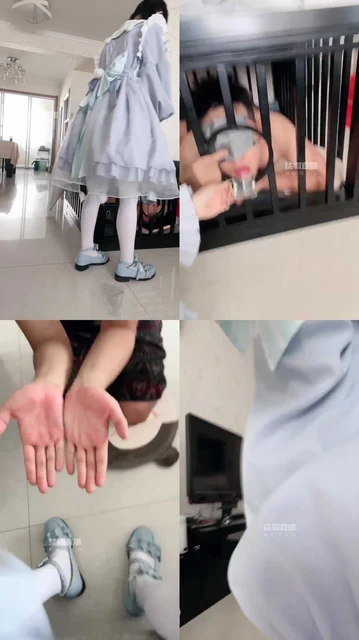 【桃夭大人】圈养下部 敲醒笼中狗