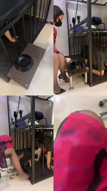 【梓夫人】狗笼圈养/高跟踩圣水泡食物/踩狗爪/做脚垫