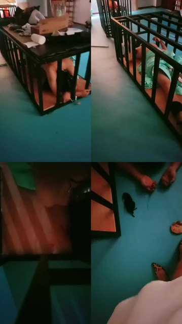 【艾斯】捆绑囚禁狗笼/踩踏喂食