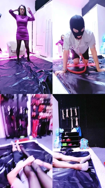 【南京冰炫女主】玩老狗